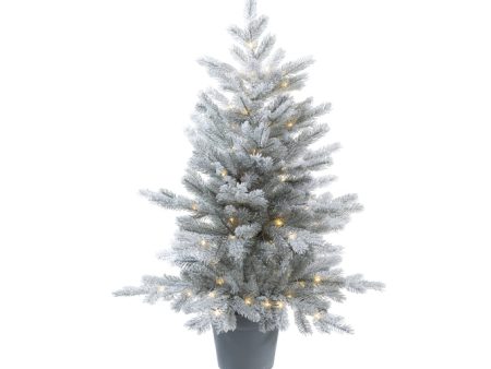 Grandis Tree Frosted Micro LED 120cm Online now