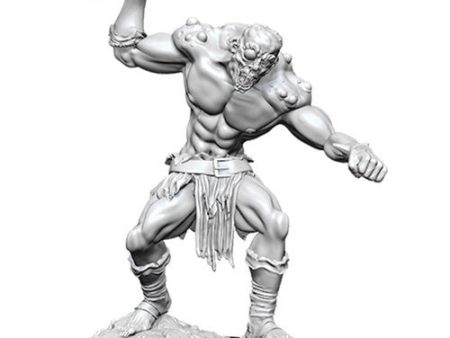 D&D Nolzurs Marvelous Unpainted Miniatures: Fomorian Fashion