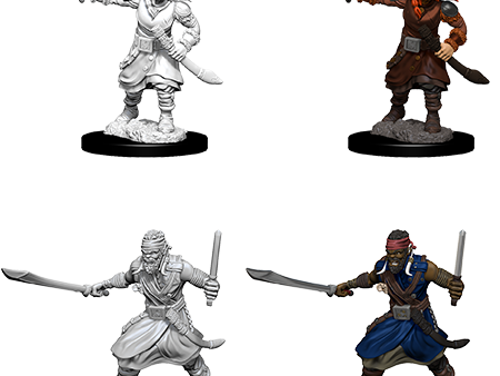 D&D Nolzurs Marvelous Unpainted Miniatures: Bandits Supply