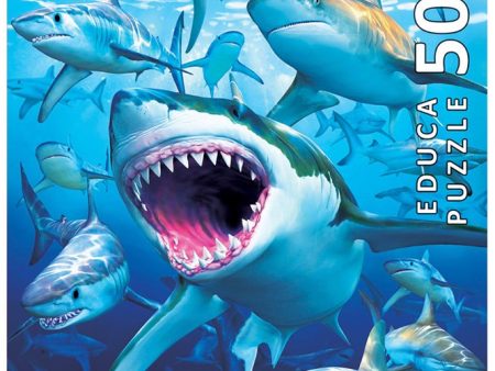 500pc Shark Club on Sale