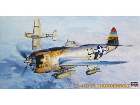 1 48 P47D25 THUNDERBOLT Cheap