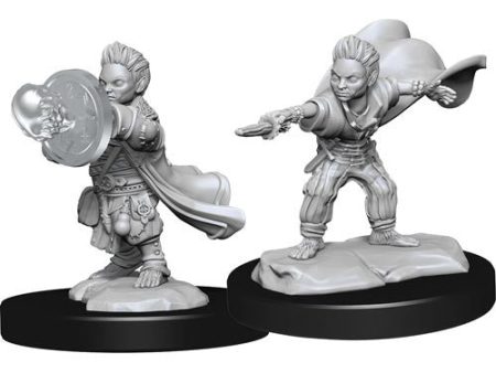 Pathfinder Deepcuts Unpainted Miniatures Halfling Wizard Male Online now