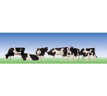 Black Spotted Cows For Discount