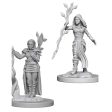 D&D Nolzurs Marvelous Unpainted Miniatures: Human Female Druid Discount