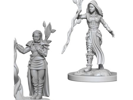 D&D Nolzurs Marvelous Unpainted Miniatures: Human Female Druid Discount