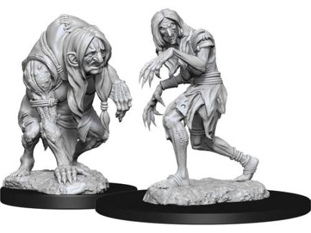 Pathfinder Deepcuts Unpainted Miniatures Annis Hag and Green Hag Supply