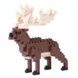 Irish Elk Hot on Sale